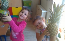 IMAG2649