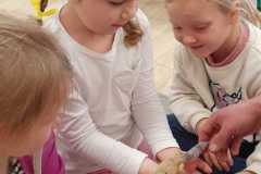 jaszczurka i dzieci 2