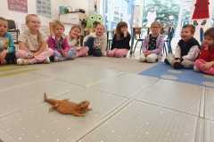 jaszczurka i dzieci 1