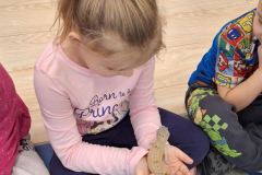 jaszczurka na rękach dziecka