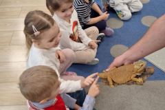 jaszczurka i dzieci w tle