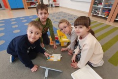 muchomorki na dywanie