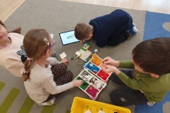 muchomorki na dywanie budują