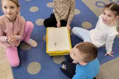 wiewiórki na dywanie