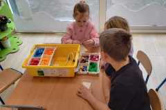 wiewiórki układają