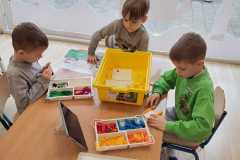 wiewiórki składają model