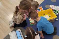 wiewiórki na dywanie budują