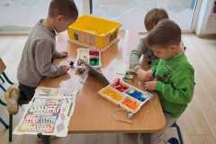 wiewiórki budują model